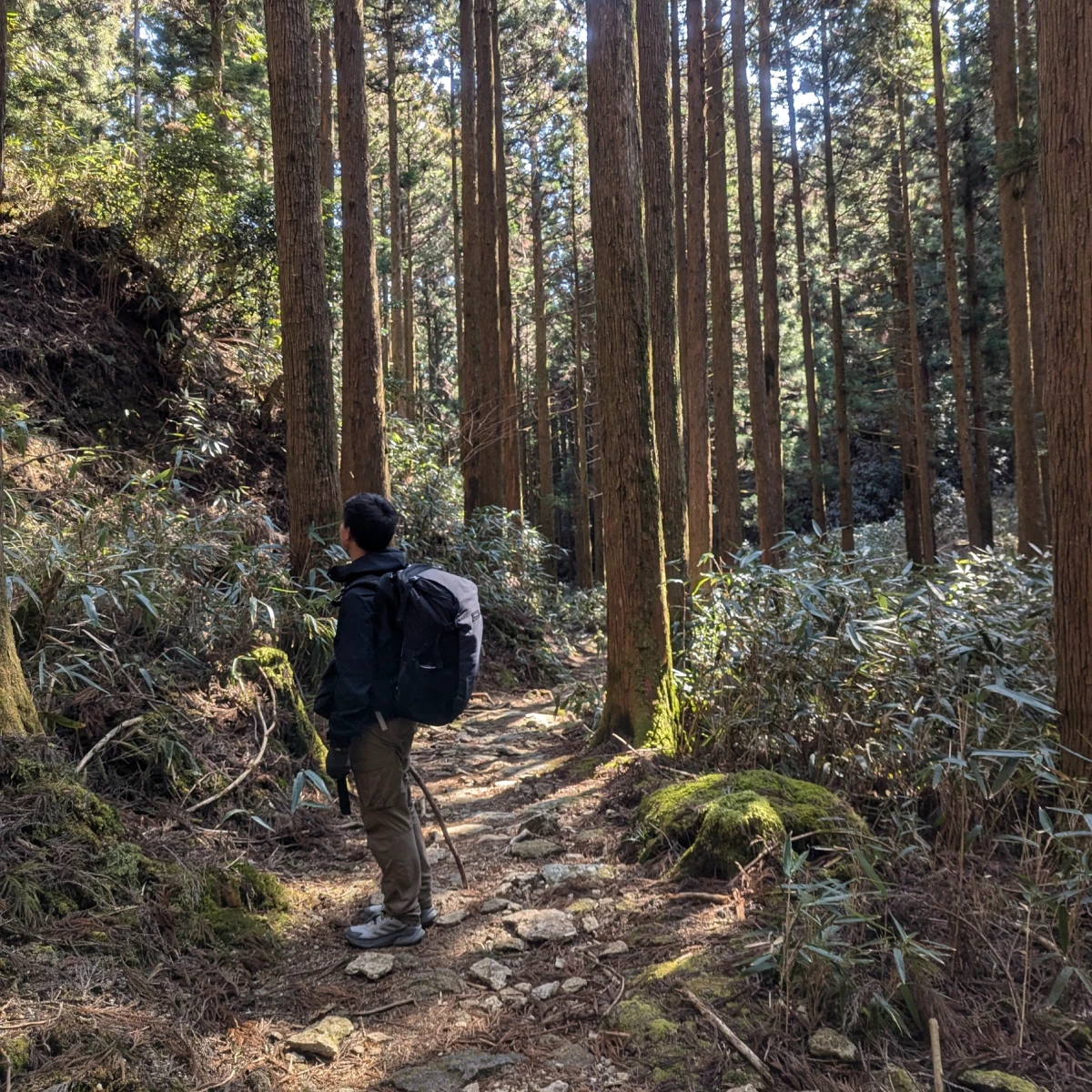Kumano Kodo Nakahechi Trek | Dual Pilgrim Route